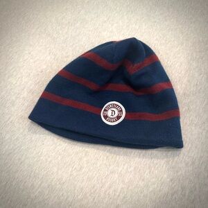 Disneyland Resort Beanie